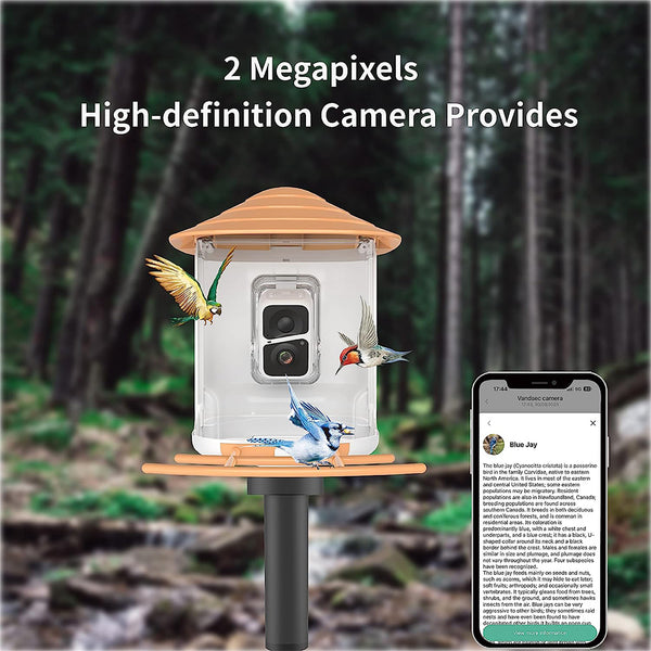 Vogelfeeder mat Kamera an AI Vugelerkennung fir de Gaart