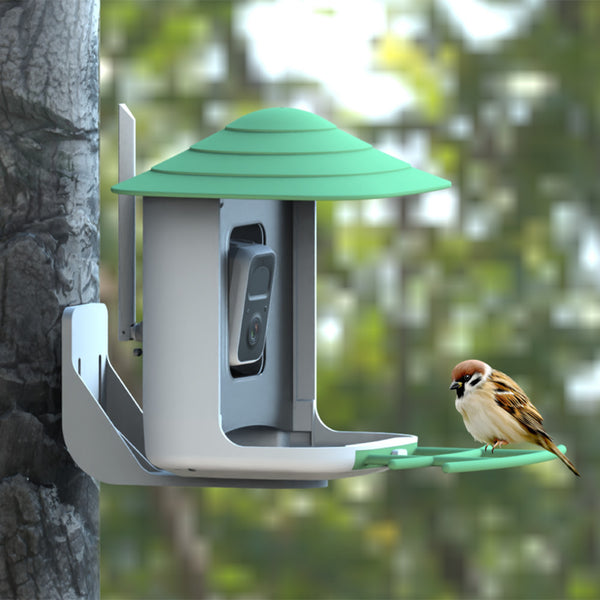 Vogelfeeder mat Kamera an AI Vugelerkennung fir de Gaart