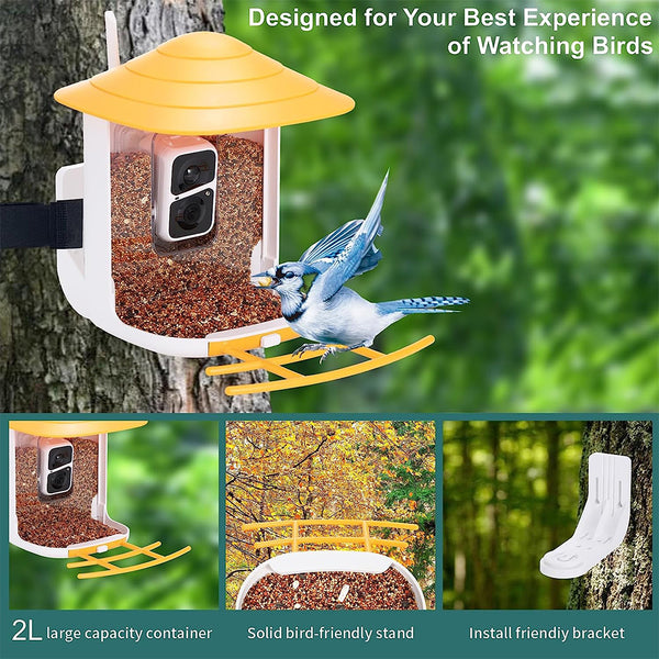 Vogelfeeder mat Kamera an AI Vugelerkennung fir de Gaart