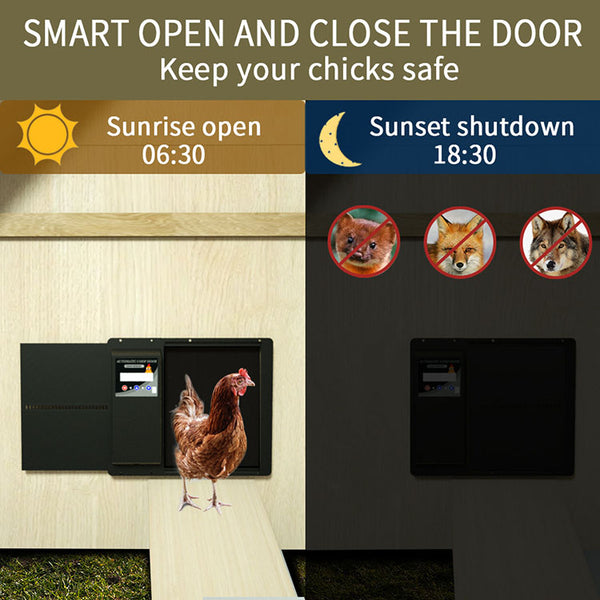 Автоматична отварачка за пилешка кожа с пилешка кожа - Луксозен модел - Метална с батерия, соларни клетки и лесно програмиране