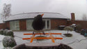 Vogelfeeder mat Kamera an AI Vugelerkennung fir de Gaart