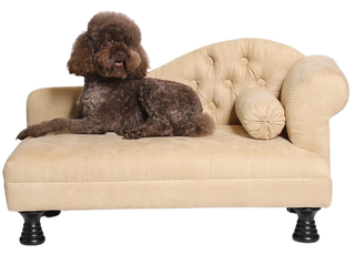 Suņu dīvāns ar 1 roku balstu - bēšs - suņu grozs