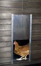 Csirkehuzal csirkeházakhoz - Chicksafe - Alu