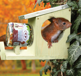 Etetőtábla / etetőház pénteki édességekhez mókusoknak - incl. mogyoróvaj